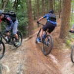 Mountainbikers in actie op de MTB-route in het prachtige natuurpark Drents-Friese Wold, Appelscha